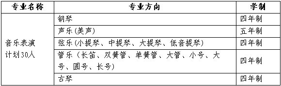 2017年中国人民大学艺术类音乐表演专业招生简章